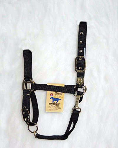 Hamilton Bauernhof Nylonhalfter mit verstellbarem Kinn, 2,5 cm, Schwarz – durchschnittliche Größe, Average, 800-1100 Pounds