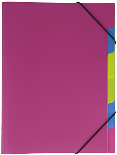 Pagna 41803-34 Ordnungsmappe, Funky School Trend PP, 5-teilig, pink