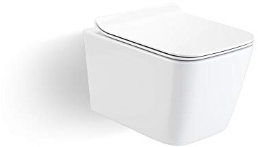 Wall Hung Toilet Luxury Soft Close Seat Gloss White Easy Installation