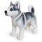 Plüschtier Hund Husky, Supersüß Kuscheltier Hund Liegend Plüschhund Realistisches Plüsch Hund Welpe Weiches Plüsch Hundekissen Spielzeug Flauschiges Stofftier Geschenk für Kinder Mädchen