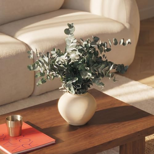BLAINE - Ramo Preservado Eucalipto Verde Pequeño 80 cm | Decoración Ideal para Ramos de Flores Secas con Hojas Naturales Que No Necesita Mantenimiento