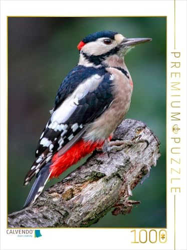CALVENDO Puzzle Buntspecht | 1000 Teile Lege-Größe 48 x 64 cm Foto-Puzzle für glückliche Stunden