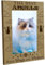 CREATCABIN Katzen-Bilderrahmen,Haustier-Holz-Bilderrahmen,Graviertes Display,Holztischplatte,Erinnerungsgeschenke Zum Aufhängen,Wandgalerie,21.8x16.8cm Die Besten Engel Haben Flügel Und Schnurrhaare