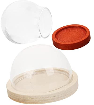 STOBAZA 2stücke Glasglocke Mit Holzsockel Kleine Glas Vitrine Glas Kuppeln Für Pflanzen Display Glasglocken Glasvitrine Zur Präsentation