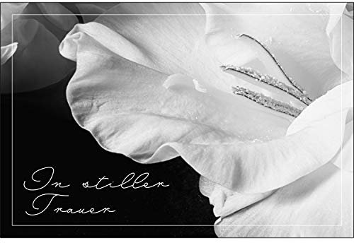 Merz Designkarten 10 Stück einfühlsame Premium-Trauerkarten/Beileidskarten (Weisse Blume) im Set mit 10 Umschläge - Anteilnahme Trauerkarte, Spruch