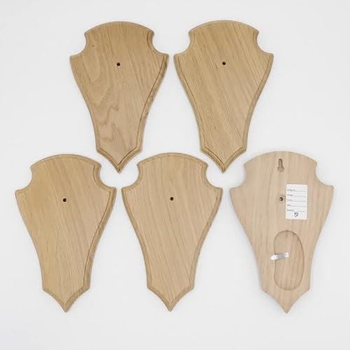 REH - Placas de trofeos (5 unidades, 21 x 13 cm, en punta, tamaño grande, roble claro, con 1 compartimento de pino)