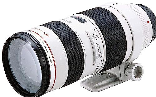 Canon, téléobjectif Zoom EF 70-200 mm / ouverture F/2,8 L USM