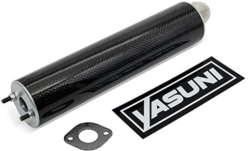 Endschalldämpfer Yasuni Scooter Carbon