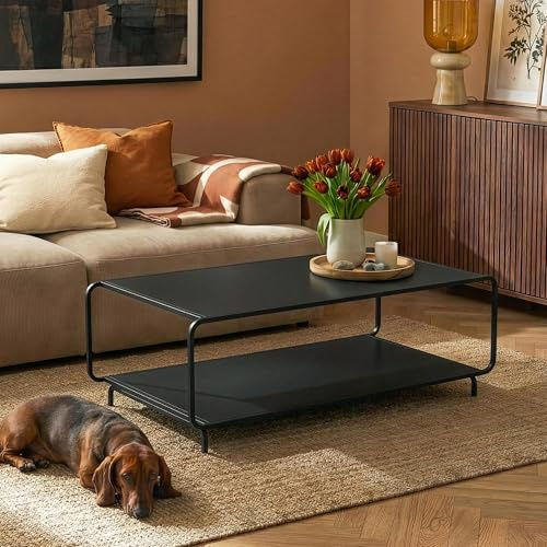 [en.casa] Couchtisch Færder Beistelltisch Wohnzimmertisch 115 x 50 x 45 cm Sofatisch mit unterer Ablage Kaffeetisch rechteckig Metall Schwarz