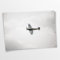 Poster Air Force | Flugzeug - Alt - Oldtimer - Klein bis XXL, Wohnzimmer - Flur - Dekoration