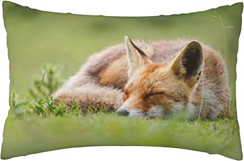 Kissenbezug Niedlicher Schlafender Fuchs-Grünes Gras-Natürlicher Tierdruck Kissenhülle Superweicher Kopfkissenbezug Premium Kissen Bezug Für Zuhause Schlafzimmer Wohnzimmer 40x60 cm