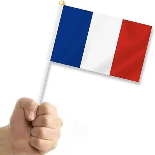 Bandera francesa pequeña de 30 piezas, 21 x 14 cm, compatible con EQUIPO de Francia, bandera (de un país)
