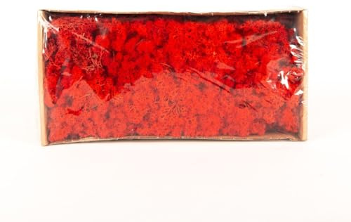 INNA-Glas Dekoratives Moos SVEINBJÖRN, rot, 500g - Echtes Isländisches Moos