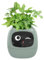 Rtxbvg Jardinière Intelligente de Lierre, Pot de Fleur D'Intérieur Rechargeable par USB pour la Décoration Intérieure, Rend la Culture des Plantes Facile et Amusante, Vert