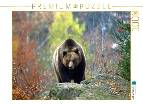 CALVENDO Puzzle Braunbär | 1000 Teile Lege-Größe 64 x 48 cm Foto-Puzzle für glückliche Stunden