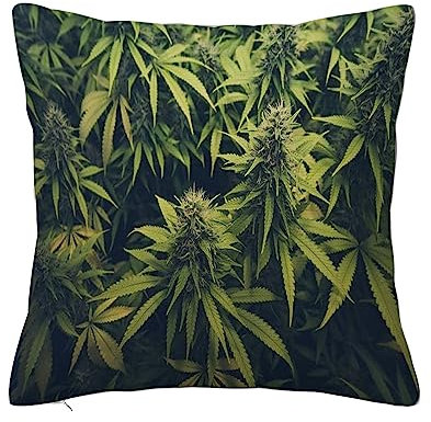 Überwurf Kissen Fall Quadratisch Kissenbezug,Green Weed Cannabis Bud Marihuana Pflanzen Marihuana Sativa Hanf Indica Grow Farm,Home Dekorative Sofa Sessel Schlafzimmer Wohnzimmer 45x 45cm