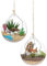 Globes en Verre Suspendus, 2 globes en Verre pour terrarium, Mini-Bougies à réchaud, Pot de Jardin en Verre Moderne avec lanière pour la décoration de la Maison, du Mariage et de la fête