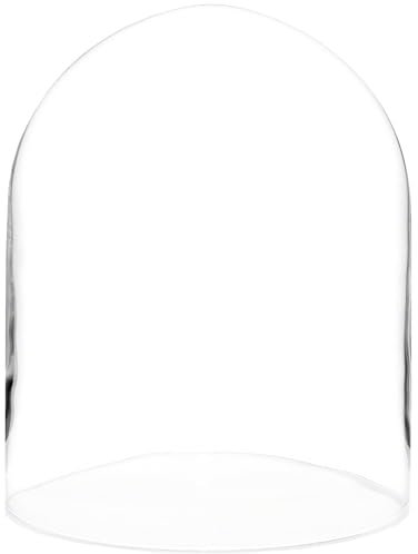 Plymor 20,3 x 26 cm Glasglocke (ohne Sockel)