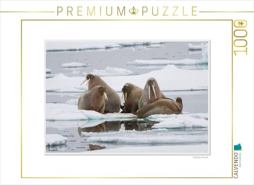 CALVENDO Puzzle EIN Motiv aus dem Kalender Emotional Moments: Die Tierwelt der Arktis. UK-Version | 1000 Teile Lege-Größe 64 x 48 cm Foto-Puzzle für glückliche Stunden