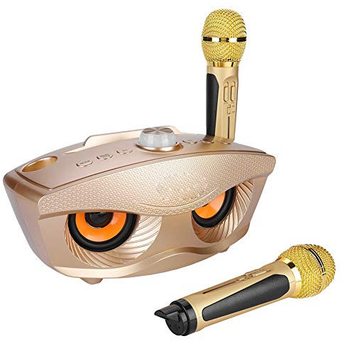 Oumij Canter Machine Karaoke Machine KTV Home Speaker Bluetooth Karaoke Wireless Speaker with Two Microphones (Gold)