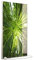 STEINFELD Heizsysteme® Glasheizung mit Bild Infrarotheizung mit Thermostat | Hochkant | viele Motive 350-1200 Watt Rahmen silber/alu (600 Watt, 023H Bambusbaum)