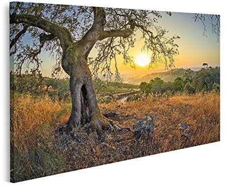 islandburner Bild auf Leinwand Olivenbaum Straße Kreuzung Felder Grüne Berge Etwas Nebel Horizont Sonnenunterga Bilder Wandbilder Poster