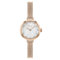 Radley Damen analog Quarz Uhr RY4604