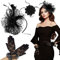 BETESSIN Fascinator Hut Hochzeit Haarreif Damen Braut Haarschmuck Schleier Hut Schwarz Mesh Handschuhe Blumen Brosche Kopfschmuck für Teeparty Cocktail Retro Karneval Kostüm