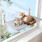 Auauraintt Hamaca para Gato - Cama Colgante de Ventana con Tapete Reversible y Ventosas (60 x 30 cm) L (Grey, L)