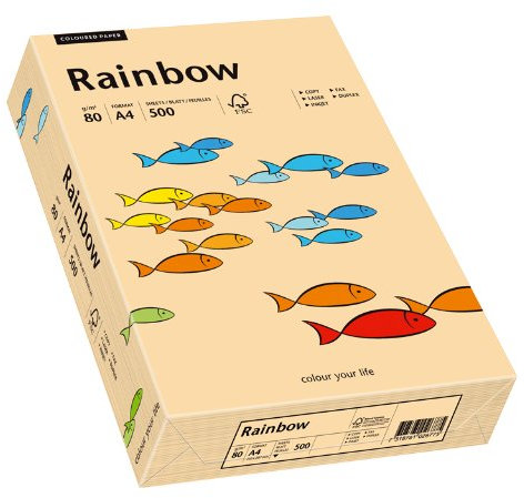 Papyrus 88042497 Drucker-/Kopierpapier, Bastelpapier Rainbow: 80 g/m², A4 500 Blatt, matt, Farbe: lachs