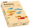 Papyrus 88042497 Drucker-/Kopierpapier, Bastelpapier Rainbow: 80 g/m², A4 500 Blatt, matt, Farbe: lachs