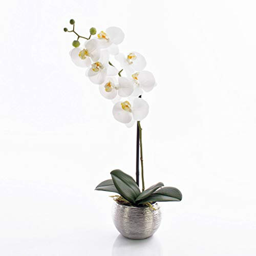 artplants.de Orchidea phalaenopsis Artificiale Emilia, Bianco, in Vaso, 50cm - Orchidea Finta con Vaso/Fiore scrivania