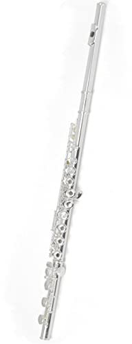 Flöteninstrument 17-Loch-E-Klappe, Vernickeltes Silber, Offenes Loch, Doppelfunktions-C-Flöte Querflöte Anfänger