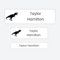 73 x Mixed Size Personalised Stick On Waterproof Washable Name Labels Great for Clothes, Toiletries School Uniform, Water Bottles - Dinosaur Icon (SFP)