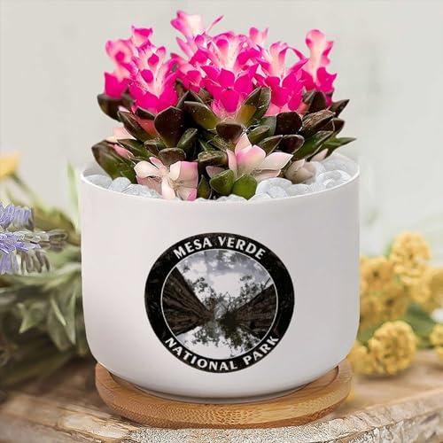 Yelolyio Fioriere personalizzate Ceramica Sequoia Parco Nazionale Piccolo Vaso per Piante in Ceramica Parco Nazionale Paesaggio Vaso Succulente Vaso da fiori per
