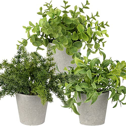 Briful Kunstpflanze Mini Künstliche Grüne Pflanze Eukalyptus Rosmarin Kräuter im Zementtopf Deko Badezimmer Schreibtisch Küche Garden Dekoration 3er Set