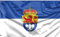 Flagge der Stadt Darmstadt, Hessen | Einzigartiger Designdruck | Made in EU (90x150 cm)