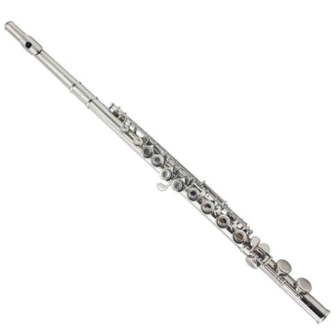 flöte Linkshänder-Flöte Mit 16 Löchern In C-Taste, Geschlossene Löcher, Vernickelte Rückhand, Professionelles Holzblasinstrument