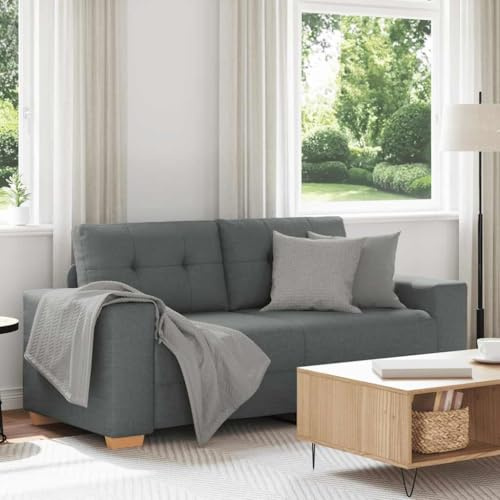 RMIHSJG Zweisitzer-Sofa Dunkelgrau 140 cm Stoff Relaxsofa mit Polsterung und Metallgestell für Wohnzimmer und Büro