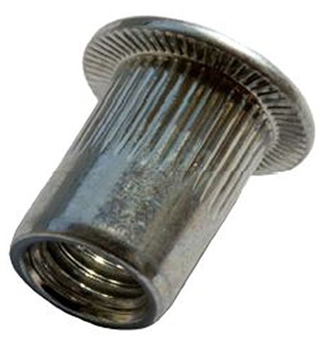 10/20/50/100 Stück Blindnietmuttern Stahl verzinkt Flachkopf Nietmutter (100, M10 x 17.0)