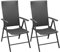 vidaXL 2X Gartenstuhl Alu Poly Rattan Aluminium Klappstuhl Hochlehner Stuhl