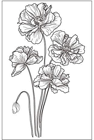 arriettycraft Stempel mit Blumen, Mohnblumen, Gummi, für Scrapbook/Fotoalbum, dekorative Kartengestaltung, transparent