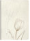Clairefontaine 813066C - Notizheft Tulip paper, mit Fadenbindung DIN A5 14,8x1 cm, 32 Blatt, dots/punktkariert, 1 Stück