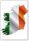Kühlschrankmagnet, Motiv Irland Karte mit Flagge