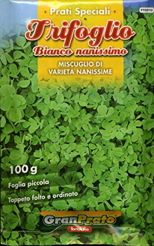MISCUGLI ED ESSENZE DI SEME DA PRATO DI VARIE TIPOLOGIE E CONFEZIONI (TRIFOGLIO BIANCO NANISSIMO, 100 GRAMMI)