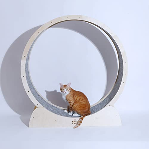 MTSON Katzenlaufrad Katzen -Laufband Ruhiges Katzenübungsrad für Innenkatzen, Katzenlauf -Rad -Gewichtsverlust, Tragenresistente Katzenradübungen Klein/mittel/großes Haustier (Size : 80CM(31 1/2))