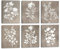 CHDITB 6 Stück Pflanzen Blätter Wandkunst,Boho Abstrakte Botanische Wandbilder,Braun Vintage Blätter Leinwandbild,Schlafzimmer Wanddeko Blumen,Wildblumen Poster Schlafzimmer Badezimmer Deko,25x20cm