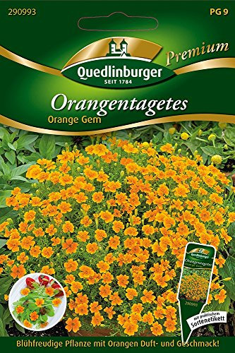 Orangen-Tagetes Orange von Quedlinburger Saatgut