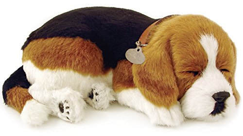 Beagle Animated Pet by Perfect Petzzz