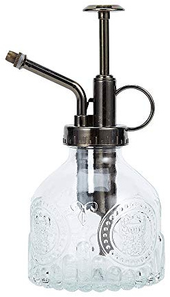 Ebristar Bottiglia spray per piante in vetro, altezza 16,5 cm, annaffiatoio vintage per piante grasse con pompa superiore, spruzzatore per piante piccole per interni ed esterni, trasparente